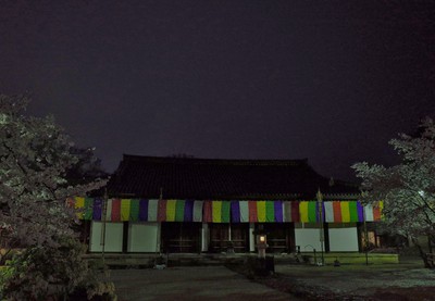 新薬師寺　夜.JPG