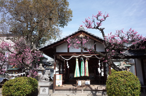 kyobate shrine.JPG