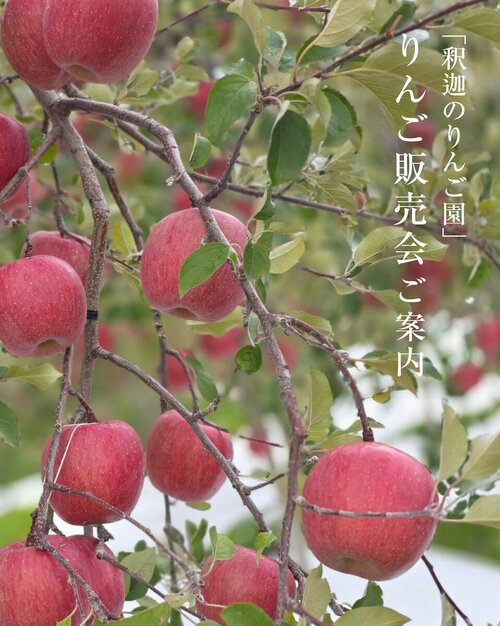 りんご販売会のお知らせ | お知らせ | くるみの木 一条店