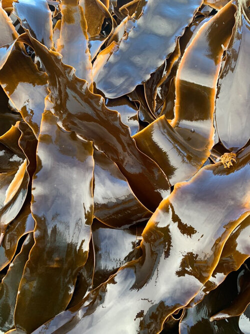 3 E81D207B-4636-45A2-9428-37AD62D42E5A.jpg