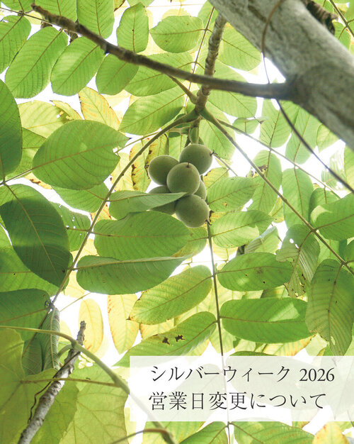 2026年SW営業予定_calendar insta のコピー 5.jpg