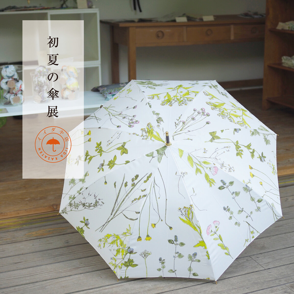 イイダ傘店　初夏の傘展2022が始まりました！