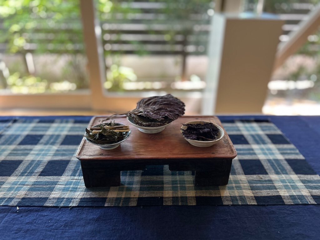 月乃音 中国茶稽古 7月開講