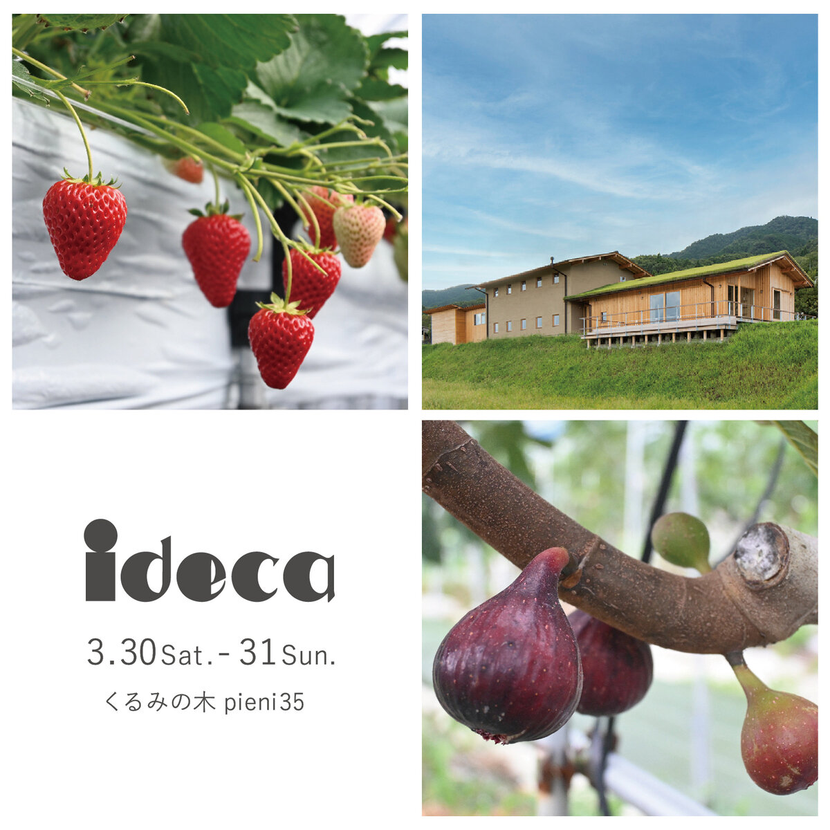 ideca POP UP 開催いたします！