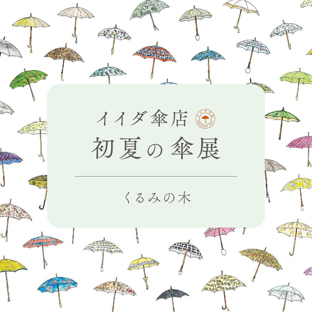 イイダ傘店　初夏の傘展　開催いたします。