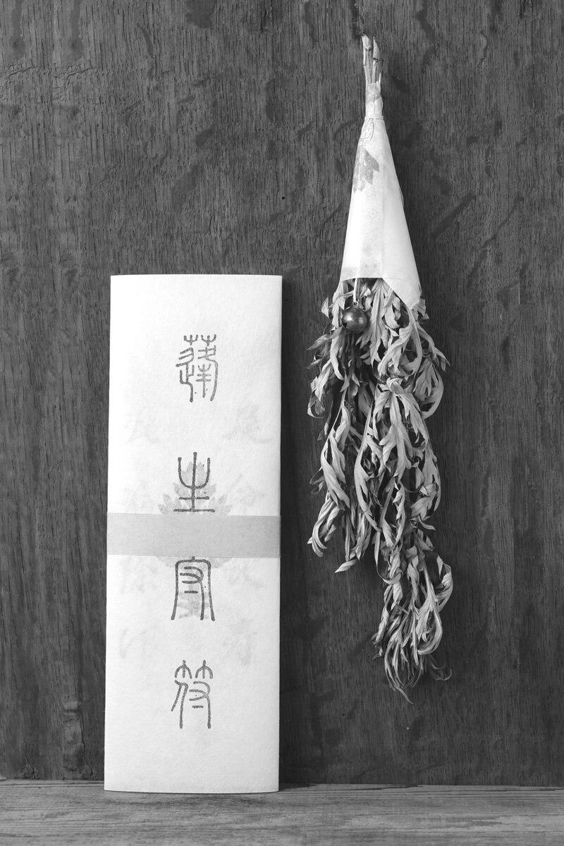 kikusa蓬8.jpg