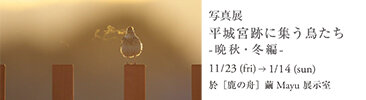 写真展「平城宮跡に集う鳥たち 晩秋・冬編」