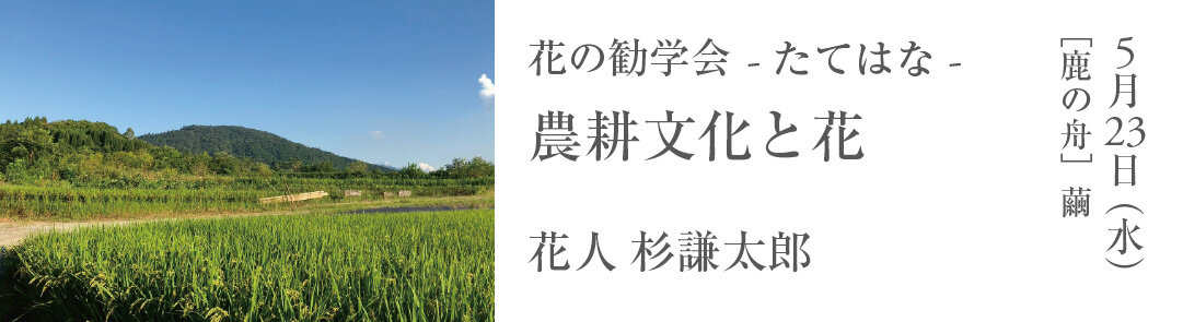 花のお稽古　たてはな