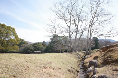 率川飛日野.JPG