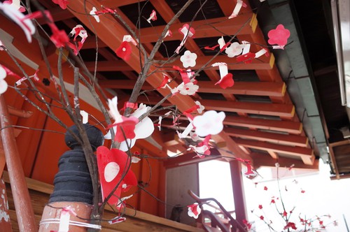 ume paper asuka shrine.JPG