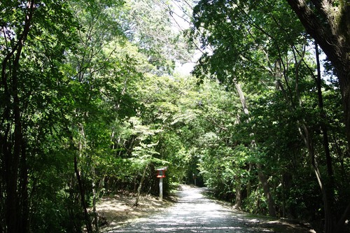 霊山寺 参道.JPG