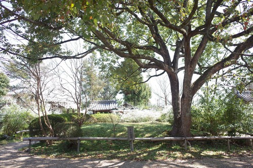 海龍山寺06.jpg