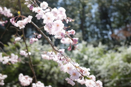 海龍山寺08.JPG