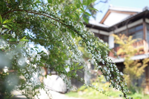 海龍王寺01.jpg