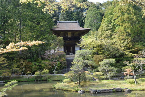 柳生街道円成寺.jpg