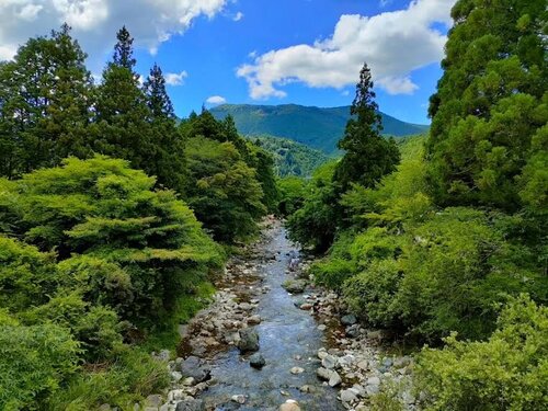 川と山.jpg