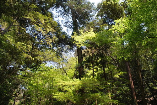 DSC_0360.jpg