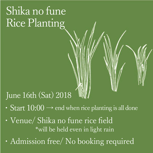 rice planting2.jpg