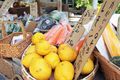 八百屋ろ　初夏の青空市　開催いたします