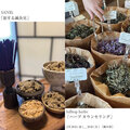 SANRi「旅する鍼灸室」とhilltop herbs「ハーブ カウンセリング」開催いたします