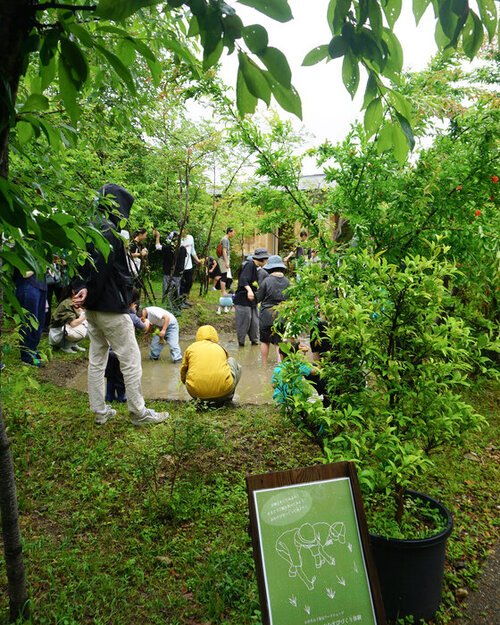 DSC07242m2.jpg