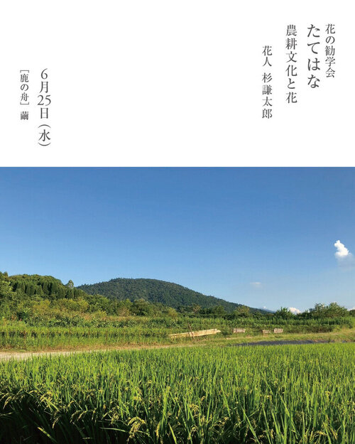花の勧学会6月たてはな_インスタ .jpg