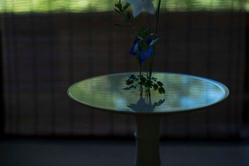 E6697E10-6684-43E0-86F3-AA4930067DC1.jpeg