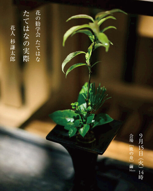 花の勧学会2026年9月_インスタ たてはな.jpg