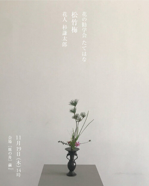 花の勧学会2026年11月_インスタ_インスタ たてはな.jpg