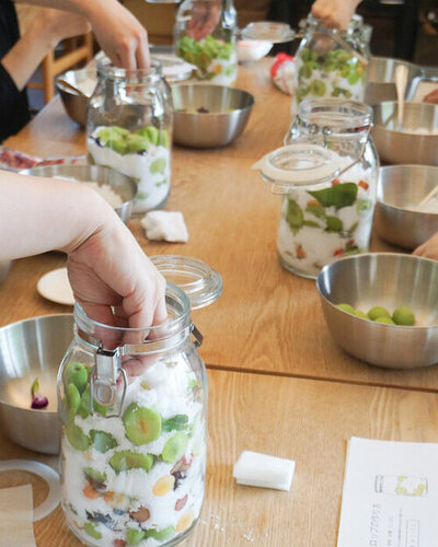 2025酵素シロップWS 冬　instagram3_アートボード 1 のコピー.jpgのサムネイル画像